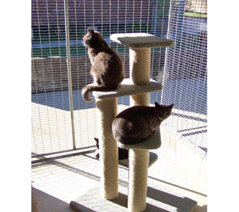 Pets Park Kennels - Sancrox, NSW