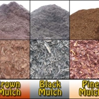 Miami Mulch