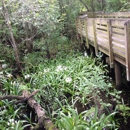 Lettuce Lake Park - Parks