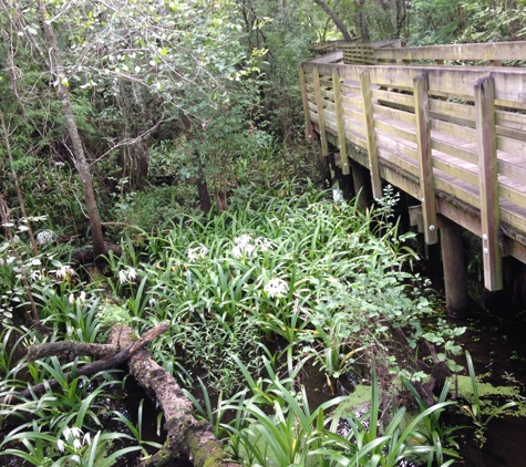 Lettuce Lake Regional Park - Tampa, FL