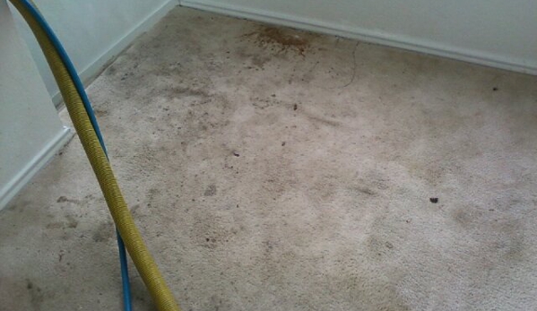 Best Carpet Cleaning Experts - San Antonio, TX