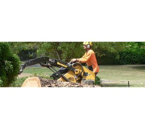 The Tree Surgeon - Spring Creek, NSW