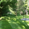 Go Green Property Management /Lawn Care gallery