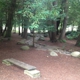 National AIDS Memorial Grove