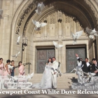 White Dove Release Funerals Weddings