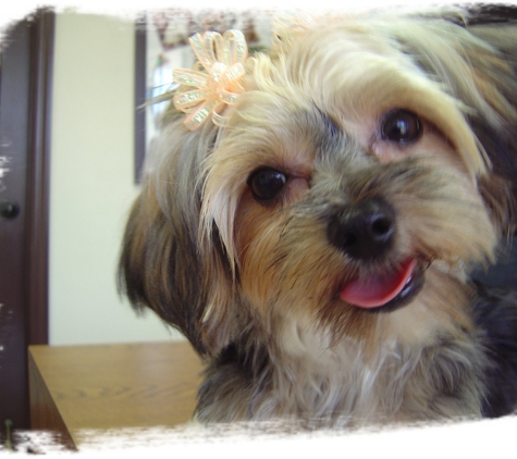 Le Groomer Pet Salon - Canoga Park, CA