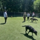 Sandy Hill Kennels