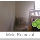 Residential Restorers - Smoke Odor Counteracting Service