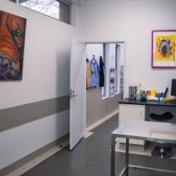 Gallery Image Number 3