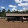 Pinetop Lakes Activity Center & Stables gallery