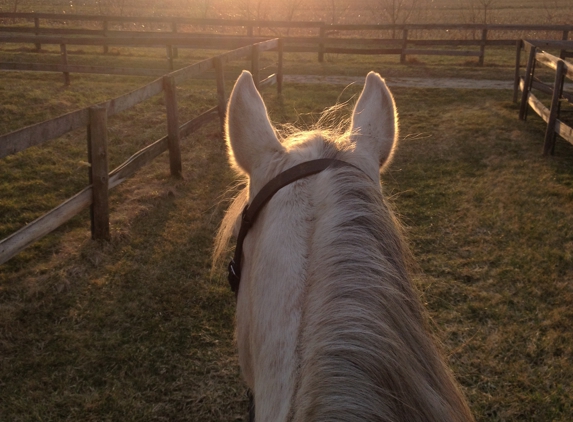 Soaring Eagle Stables & Equestrian Center - Plainfield, IL