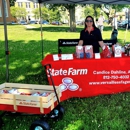 Candice Dahline - State Farm Insurance Agent - Homeowners Insurance