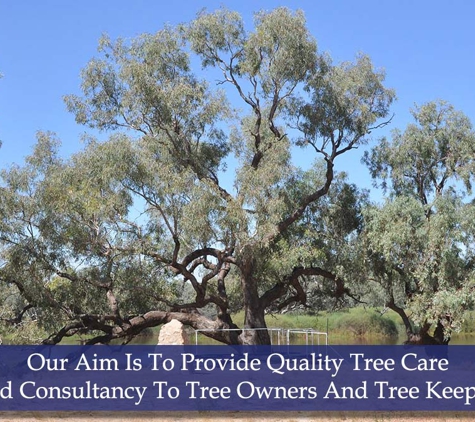 The Tree Doctor (Qld) Pty Ltd - Everton Hills, QLD. Our Aim Is To Provide Quality Tree Care And Consultancy To Tree Owners And Tree Keepers