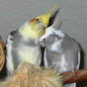 Gallery Image Number 5