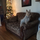Aunt Tessies Pet Boutique - Boutique Items