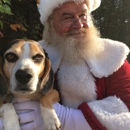 Santa Andy - Family & Business Entertainers
