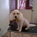 Doggy Wash Pet Grooming - Pet Services