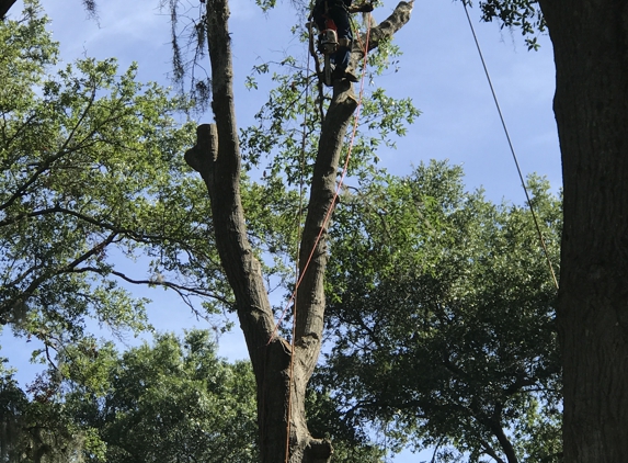 Dunkle's Tree Service - Jacksonville, FL