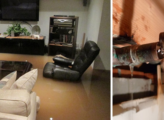 Tanin Water Damage Mold Removal - Libertyville, IL