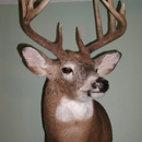 Dave's Tampa Taxidermy - Taxidermists