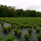 Zielke's Greenhouses