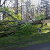 Greater Pittsburgh Tree Service gallery