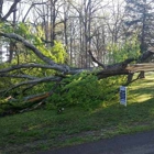 Greater Pittsburgh Tree Service