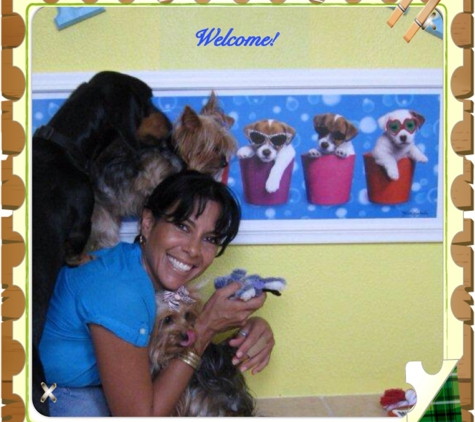 Happy Tails Pet Resort - Miami, FL