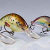 Just Fishing Tackle gallery