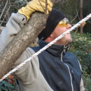 Southern Exteriors Tree Service - Tree Service