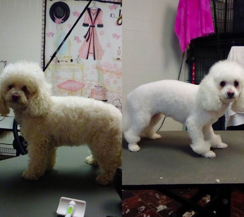 alma's pet grooming and boutique - Chino, CA. ����miss.betty boo ����