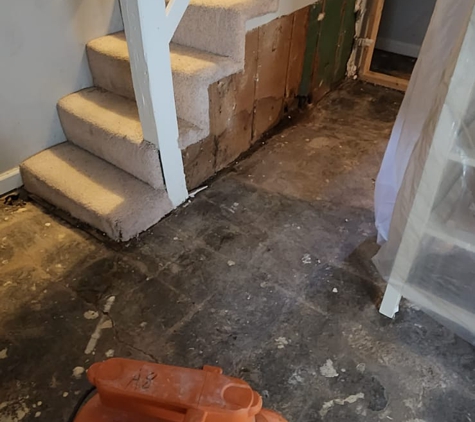 Flood Damage Pro - Alexandria, VA