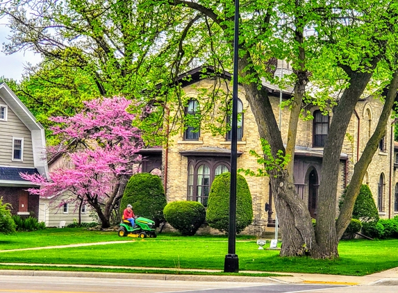 Columbus Downtown Development Corporation - Columbus, WI. Redbud Tree, Cercis Canadensis Columbus Wisconsin Strain