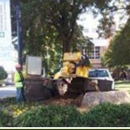 Cadieu  Tree Experts - Stump Removal & Grinding