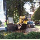 Cadieu  Tree Experts - Tree Service