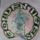 Golden Tiger Tae Kwon Do