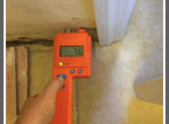 Tallahassee Mold Pros - Tallahassee, FL