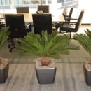 Emerald Plant Service - Plants-Interior Design & Maintenance