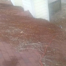 Ready Works - Landscaping & Lawn Services
