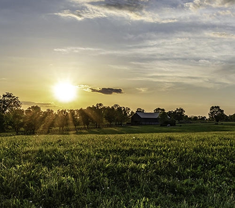 Weddle Law Office, P - Harrodsburg, KY