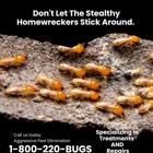Aggressive Pest Elimination