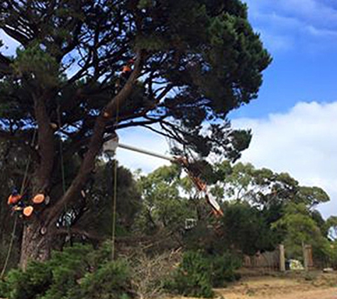 Forest & Garden Tree Services - Grassmere, VIC. Tree Removals Across The South West
