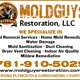 Moldguys Restoration