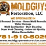 Moldguys Restoration