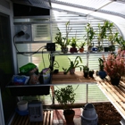 Sunglo Greenhouses