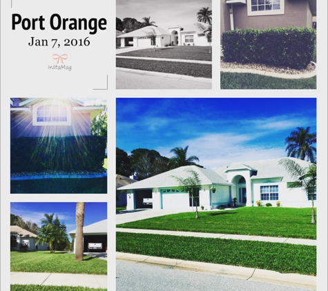 All Out Lawn Care - Port Orange, FL