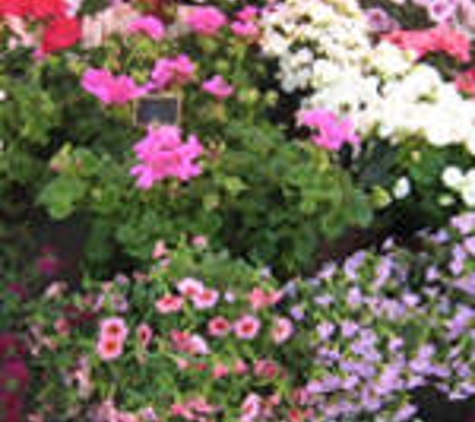 Boylans Garden & Pet Supplies - Bundaberg Central, QLD