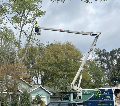 Palmetto Tree Service - Mount Pleasant, SC