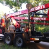 Affordable Heights Tree & Crane Service gallery
