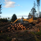 Northwest Logging Company, LLC